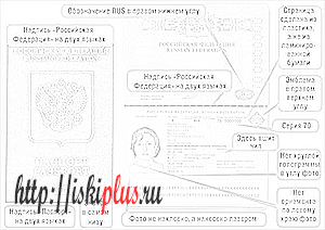 код подразделения в паспорте киргизии